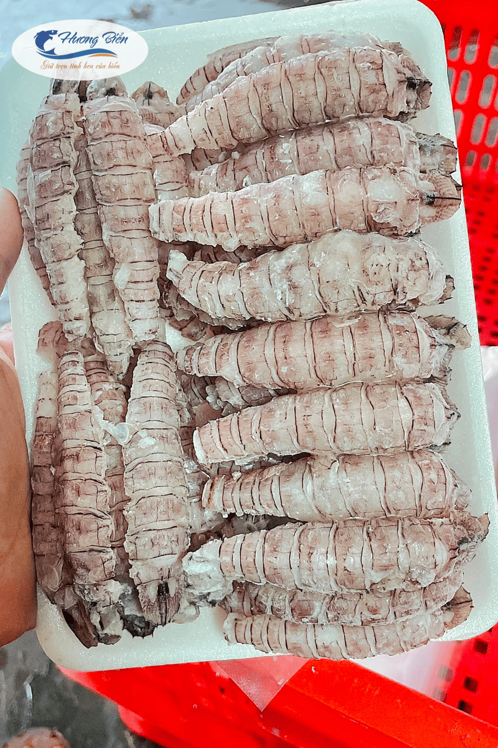 Bề bề nõn - Ảnh 2