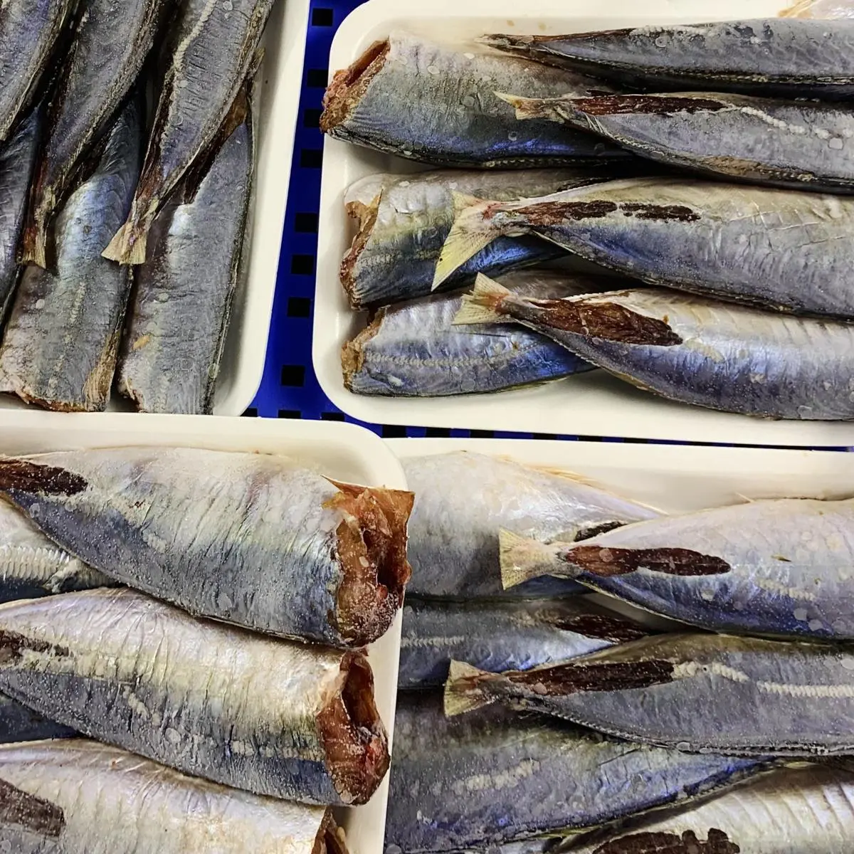 Cá nục một nắng