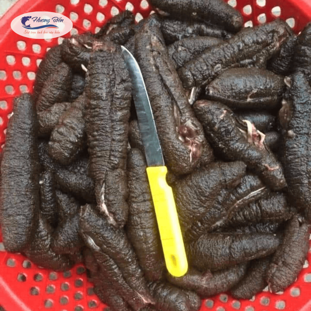 Hải sâm đen - Ảnh 7