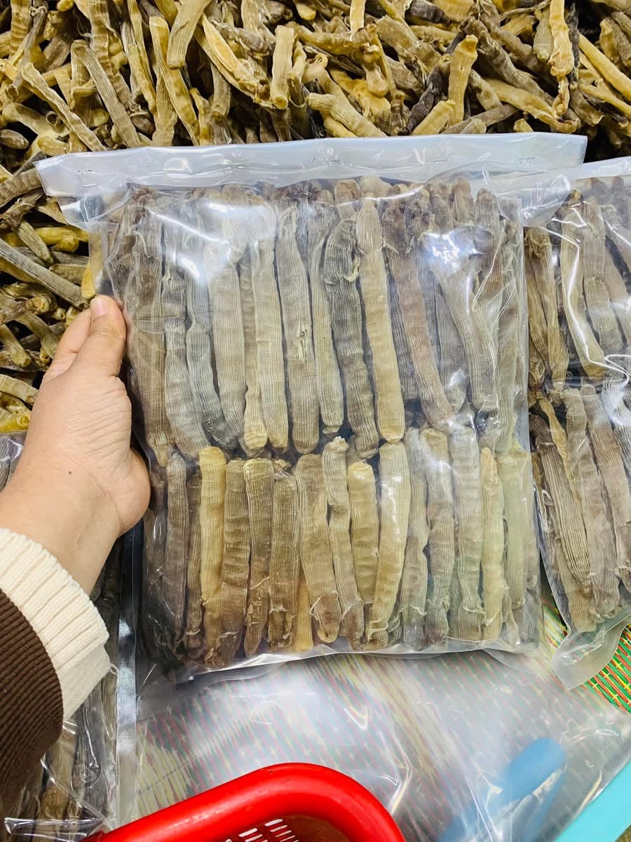 Sá sùng khô-Quan Lạn - Ảnh 20