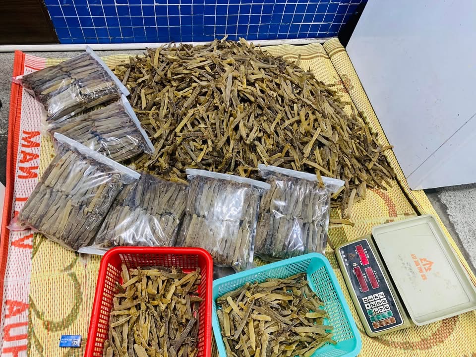 Sá sùng khô-Quan Lạn - Ảnh 15