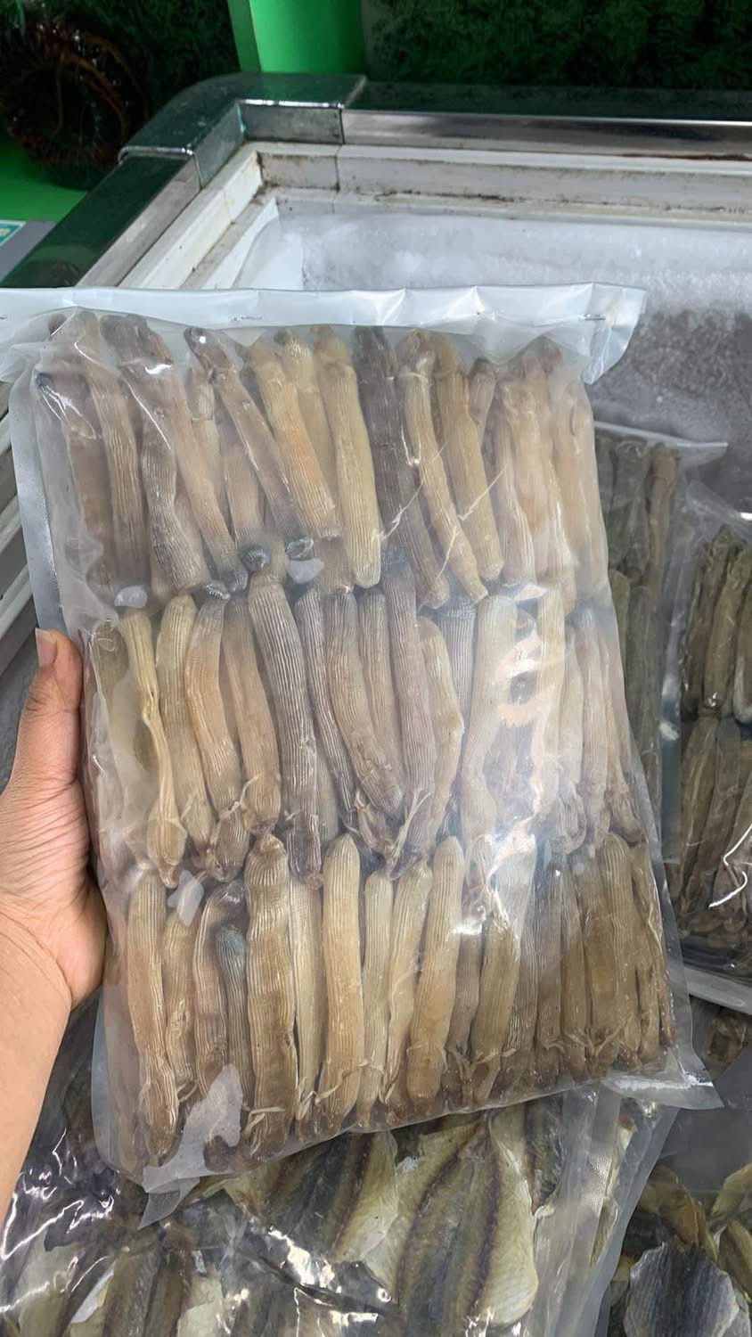 Sá sùng khô-Quan Lạn - Ảnh 10