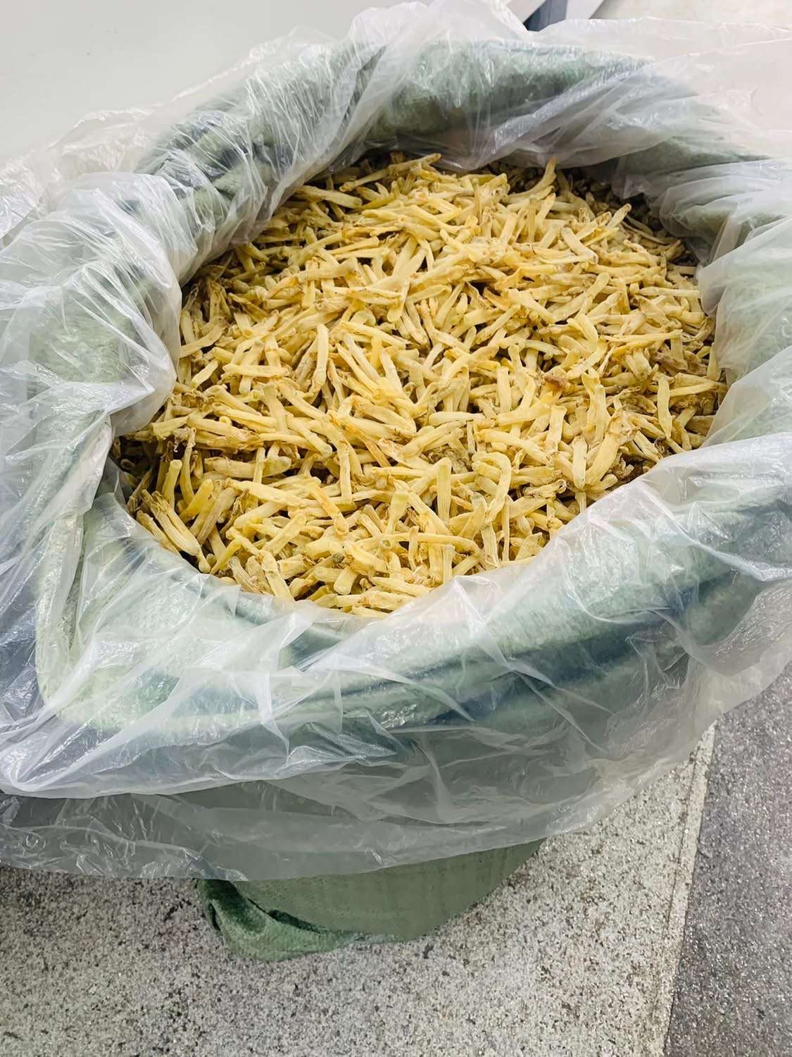 Sá sùng khô-Quan Lạn - Ảnh 25