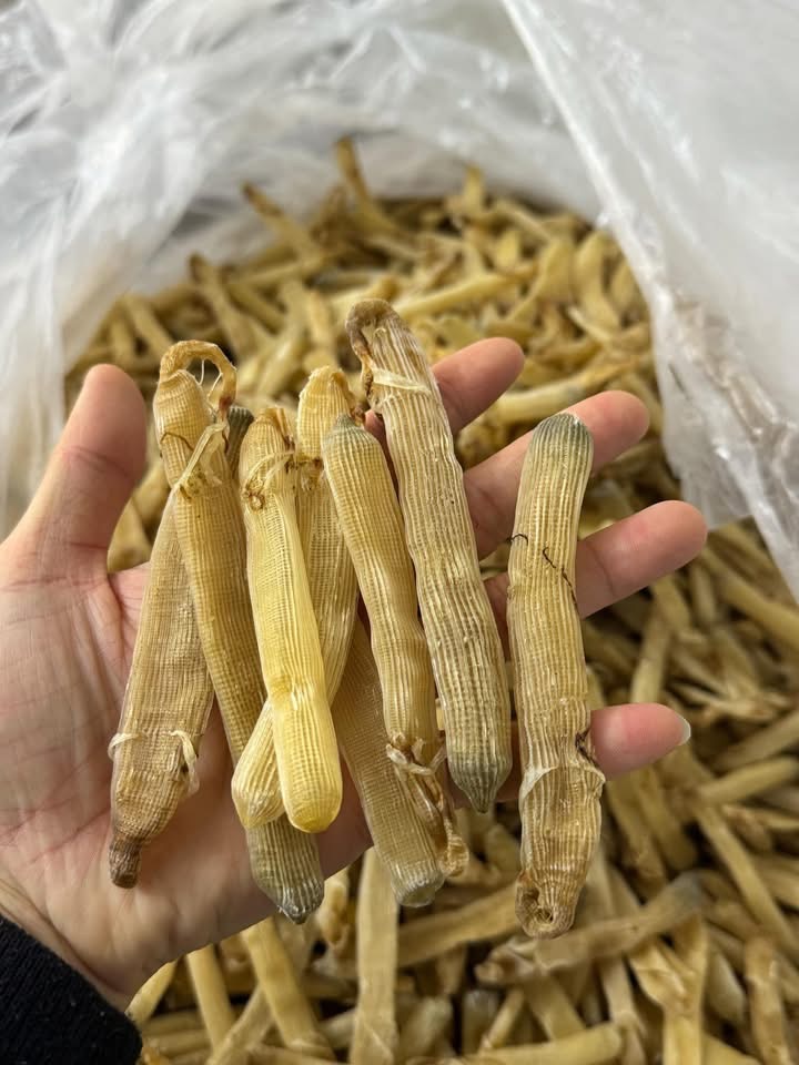 Sá sùng khô-Quan Lạn - Ảnh 2