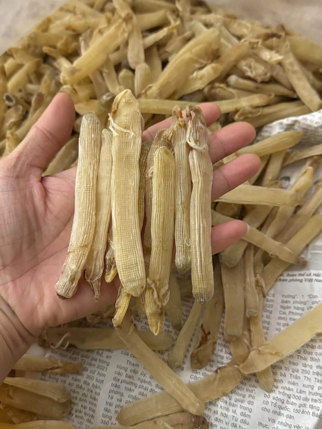 Sá sùng khô-Quan Lạn - Ảnh 11