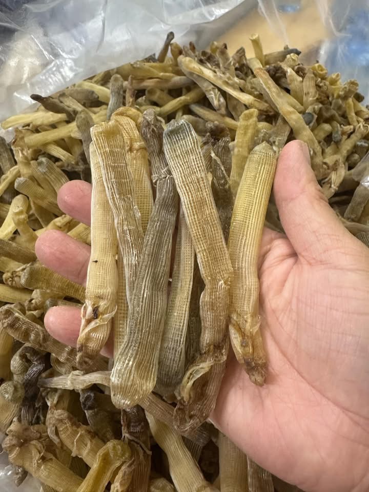 Sá sùng khô-Quan Lạn - Ảnh 4