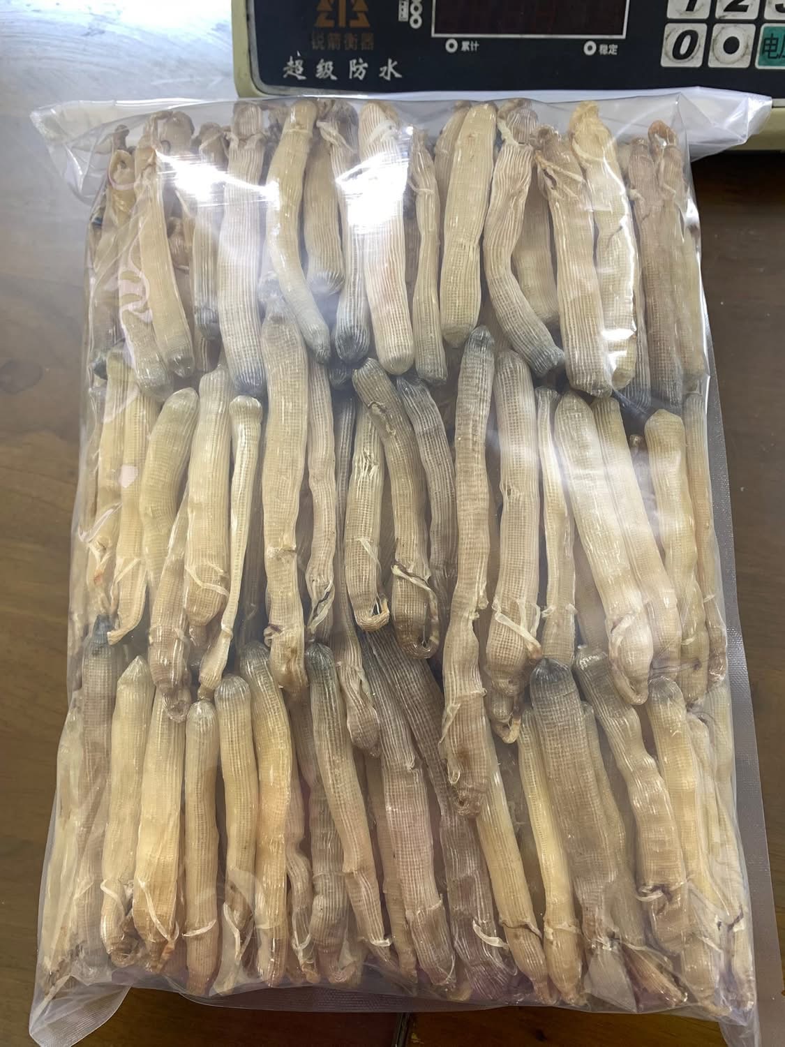 Sá sùng khô-Quan Lạn - Ảnh 23