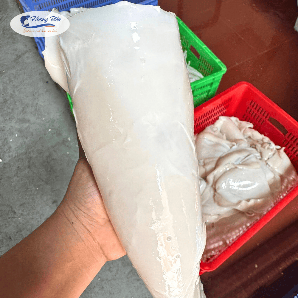 Mực mai bóc - Ảnh 5