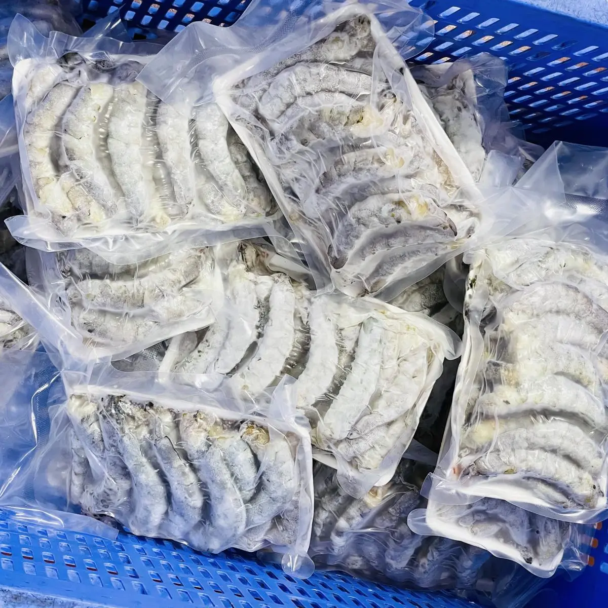 Tôm thẻ nõn - Ảnh 2