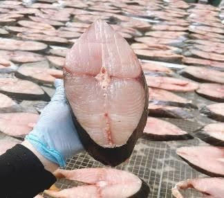 Cá thu phấn một nắng