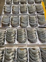 Tôm thẻ nõn - Ảnh 8