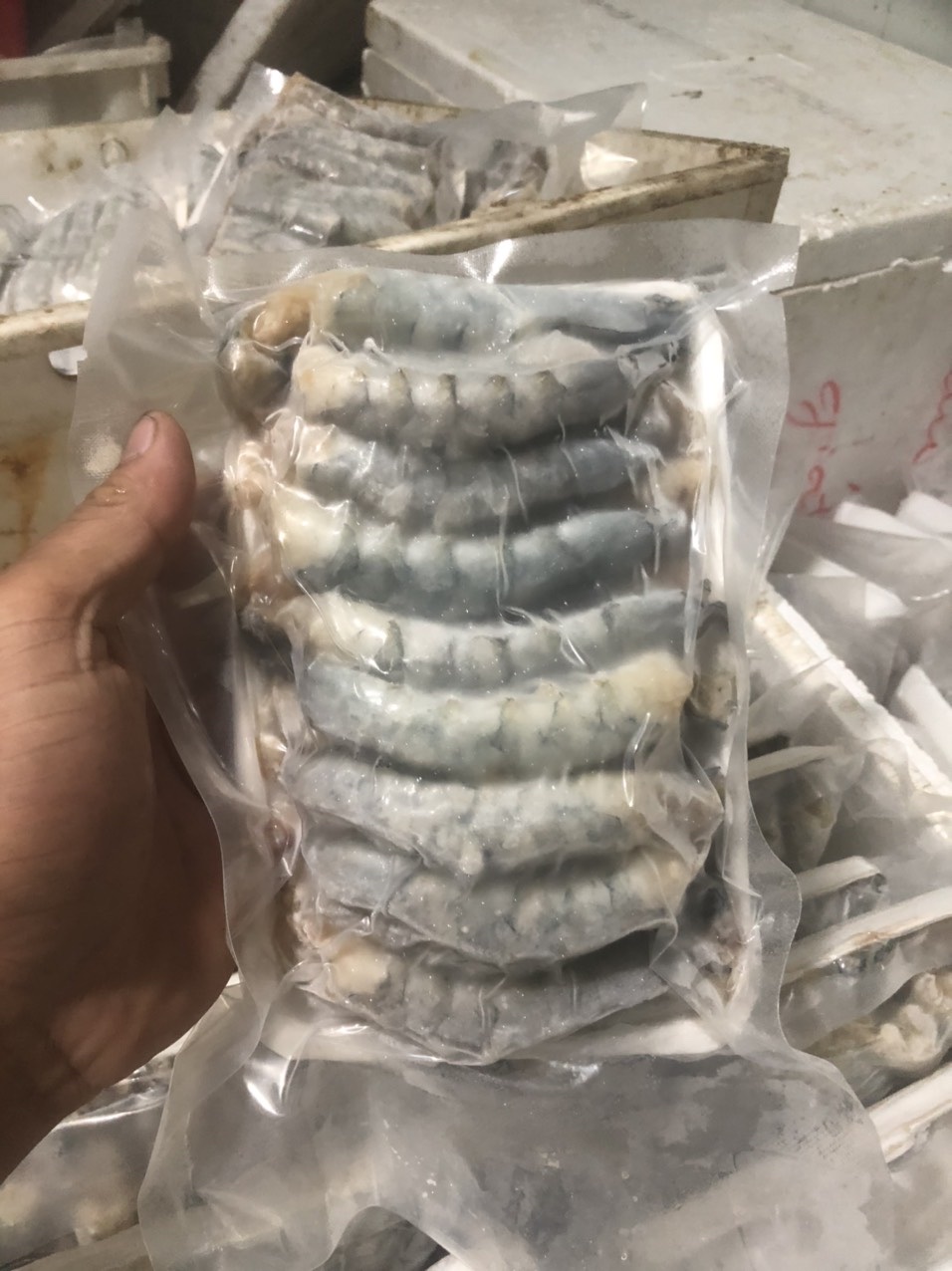 Tôm thẻ nõn - Ảnh 4