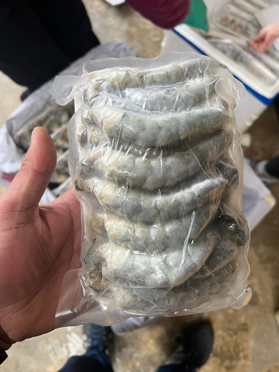 Tôm thẻ nõn - Ảnh 5